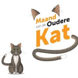 oude kat