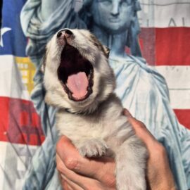 683510610_10234147609534963_8569306552197426600_n